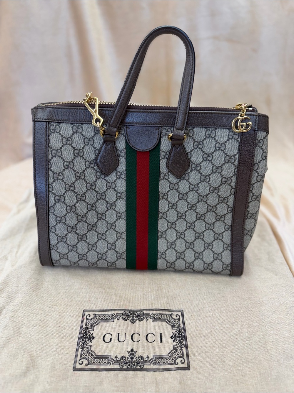 Gucci GG Supreme Canvas Top-Handle Tote in Brown with Web Stripe